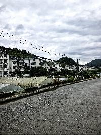 说走就走？
